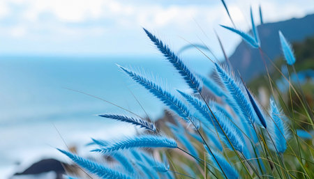 Vibrant blue foxtail grass sways gracefully in the foreground, with a stunning, blurred backdrop of the deep blue ocean and sky. This tranquil and visually striking image creates a sense of peaceful harmony between the land and sea, perfect for designs related to nature, tranquility, and coastal landscapes.の素材
