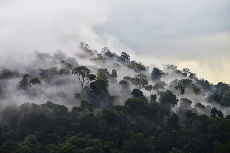 Petchaboon Mountains Countryside of Thailand