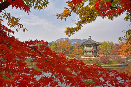 Gyeongbokgung Palace in Autumn Seoul South Koreaの写真素材