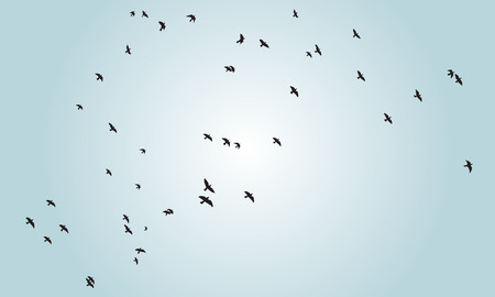 Birds silhouette with blue sky background.のイラスト素材