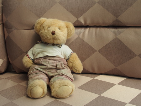 The brown bear doll on the sofa.の写真素材