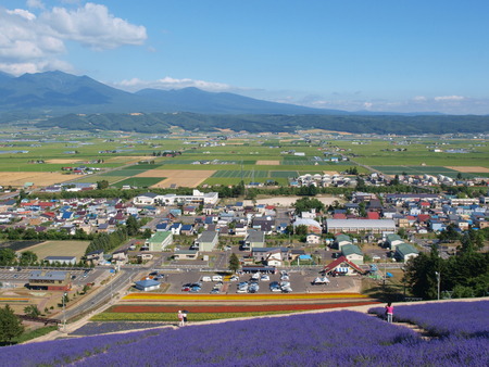 The city & lavender field view on the mountain at Furano, Hokkaido - Japan.の写真素材