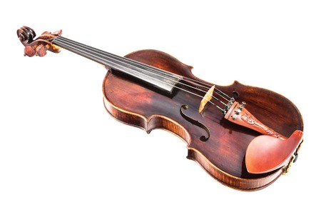 Violin or fiddleの写真素材
