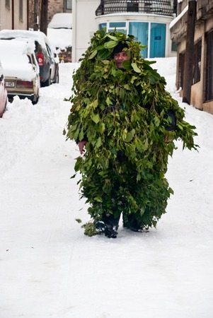 VEVCANI, MACEDONIA - JANUARY 13, 2012: A man dressed up as a tree during the Vevcani Carnival, southwestern Macedoniaのeditorial素材