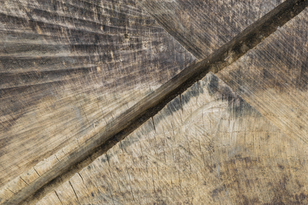 deep cutの写真素材