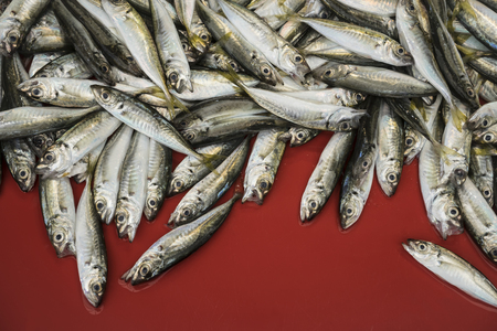 display on a fishmarketの写真素材