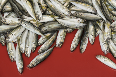 small fishes on a marketの写真素材