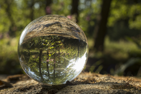 Crystal ball closeup photo in the outdoorの写真素材
