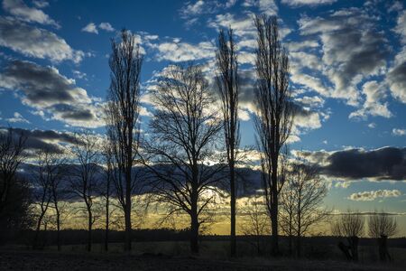 Evening landscapeの写真素材