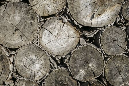 Weathered wood background