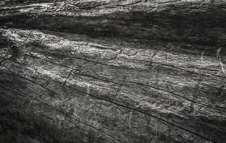 Wood texture backgroundの写真素材