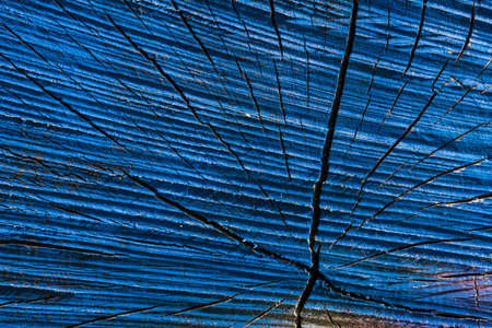 structure of a painted tree trunkの写真素材