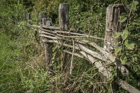old wooden fenceの写真素材