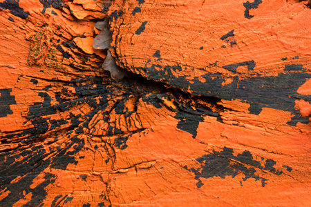 close up of a painted and weathered logの写真素材