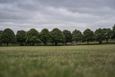 park landscape with miniature effectの写真素材