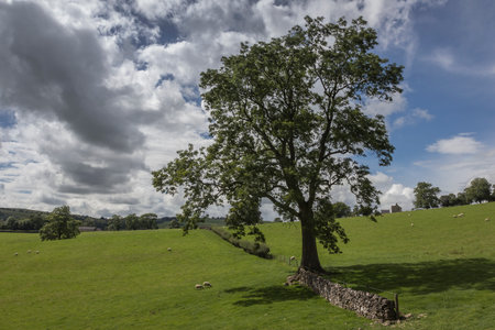 Peak District National Park, England.