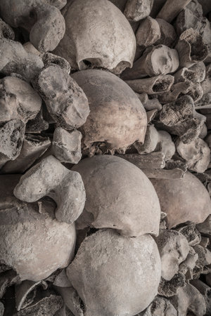 stacked skulls and bones in a grave