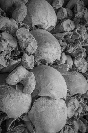 stacked skulls and bones in a grave