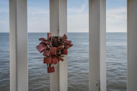 Love padlocks on a railing on the seaside.の写真素材