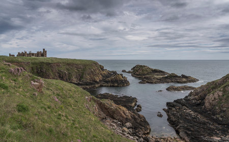 Ruin of new Slains castle near Aberdeen.の写真素材