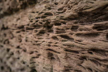 Detail of a weathered sandstone wall.
