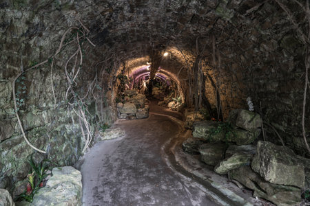 Tunnel with plants in a park.の写真素材