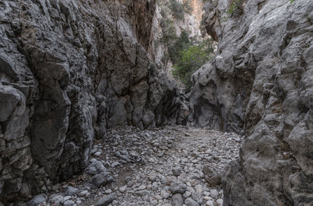 hiking trail in Kritsa Gorgeの写真素材