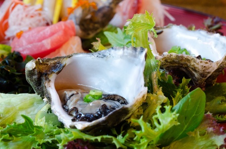 A dish of assorted sashimi with the oyster in focus - Japanese foodの写真素材
