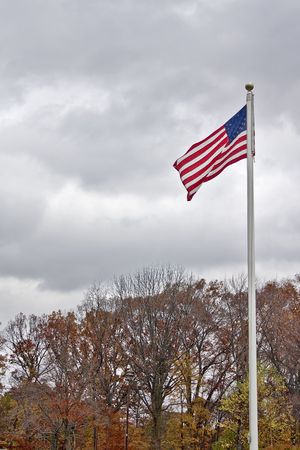 US Flagの写真素材