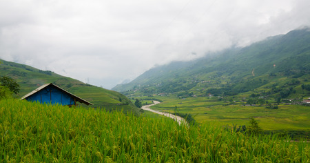 Lao Chai is little town in the valley that is famous about rice field terraceの写真素材