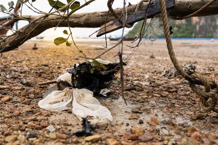 the garbage on beautiful beach while tide down sea in the morningの写真素材