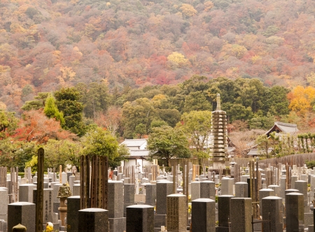 Japanese graveyard in autumn, Kyoto, Japan.のeditorial素材