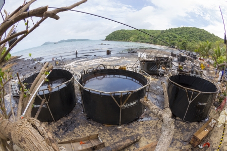 RAYONG, THAILAND - JULY 31  Crude oil cleaning operations area due to crude oil spill accident on Ao Prao Beach in Samet island on July 31, 2013 in Rayong,Thailandのeditorial素材