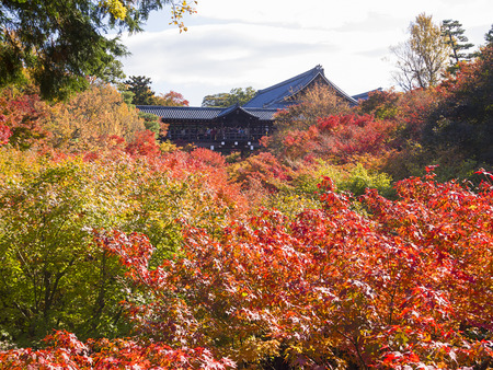 View of the Tsutenkyo Bridge which spans a valley of lush maple trees in Tofukuji temple during autumn, Kyoto, Japan. This Zen temple is particularly famous for its spectacular autumn colors.のeditorial素材