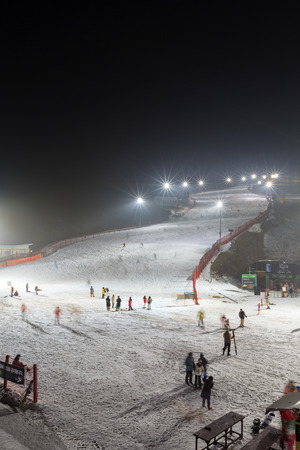 GANGWON-DO, SOUTH KOREA -DEC 16, 2012: People enjoy night Ski at Daemyung Vivaldi Park Ski World. Daemyung Vivaldi Park Ski World is particularly popular due to its daytime and nighttime skiing.のeditorial素材