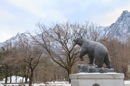 GANGWON, KOREA -DEC 16, 2012: Bear statue at Seoraksan National Park Entrance, Gangwon, Korea. Seoraksan is the third highest mountain in Korea. The Daechongbong Peak of Seoraksan reaches 1,708 m.のeditorial素材