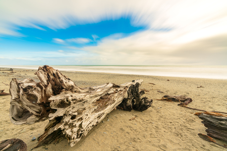 Dead tree flotsam on the beach at Ship Creek Walks at Tauparikaka Marine Reserve, Haast, South Island, New Zealand.の写真素材