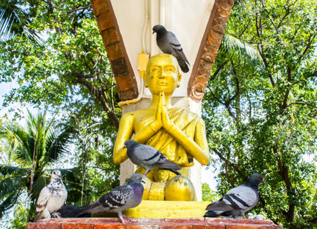 Statue with pigeonsの写真素材