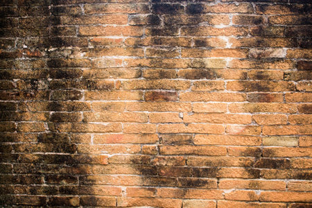 brick Wall backgroundの写真素材