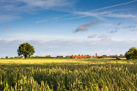 Field in front of villageの写真素材