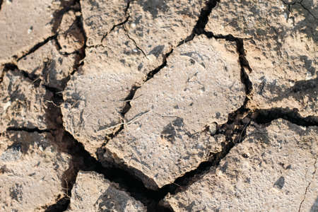cracked soil texture