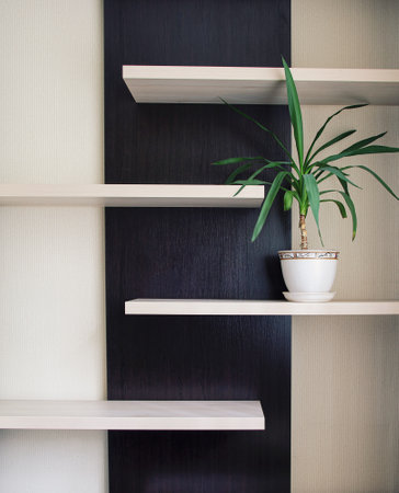 palm in a vase on the shelf in the room