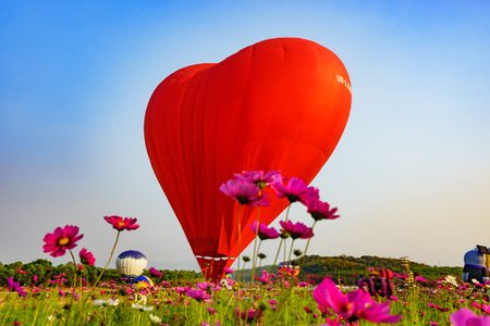 CHIANG RAI, THAILAND FEBRUARY 12, 2016:Singha Park Chiang Rai Balloon Fiesta 2016 will take place between February 10th and 14th at Singha Park Chiang Rai.のeditorial素材