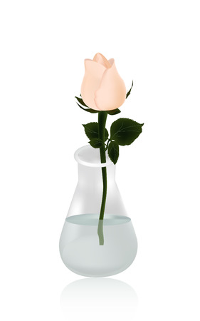 a cute roseのイラスト素材