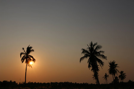 before the sundownの写真素材