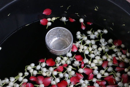 water dipper with jasmine on the water