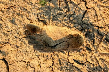 Footprints of people on dry, cracked ground, droughtの写真素材