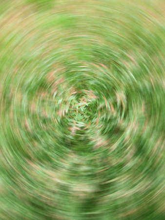 Blurred background image of flowers and green leaves.の写真素材