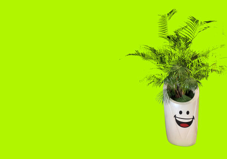 Palm tree pots depicting smiling faces on isolated green background.の写真素材