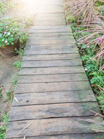 A walkway in the resort gardenの写真素材